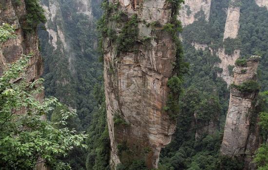 Parque de Zhangjiajie